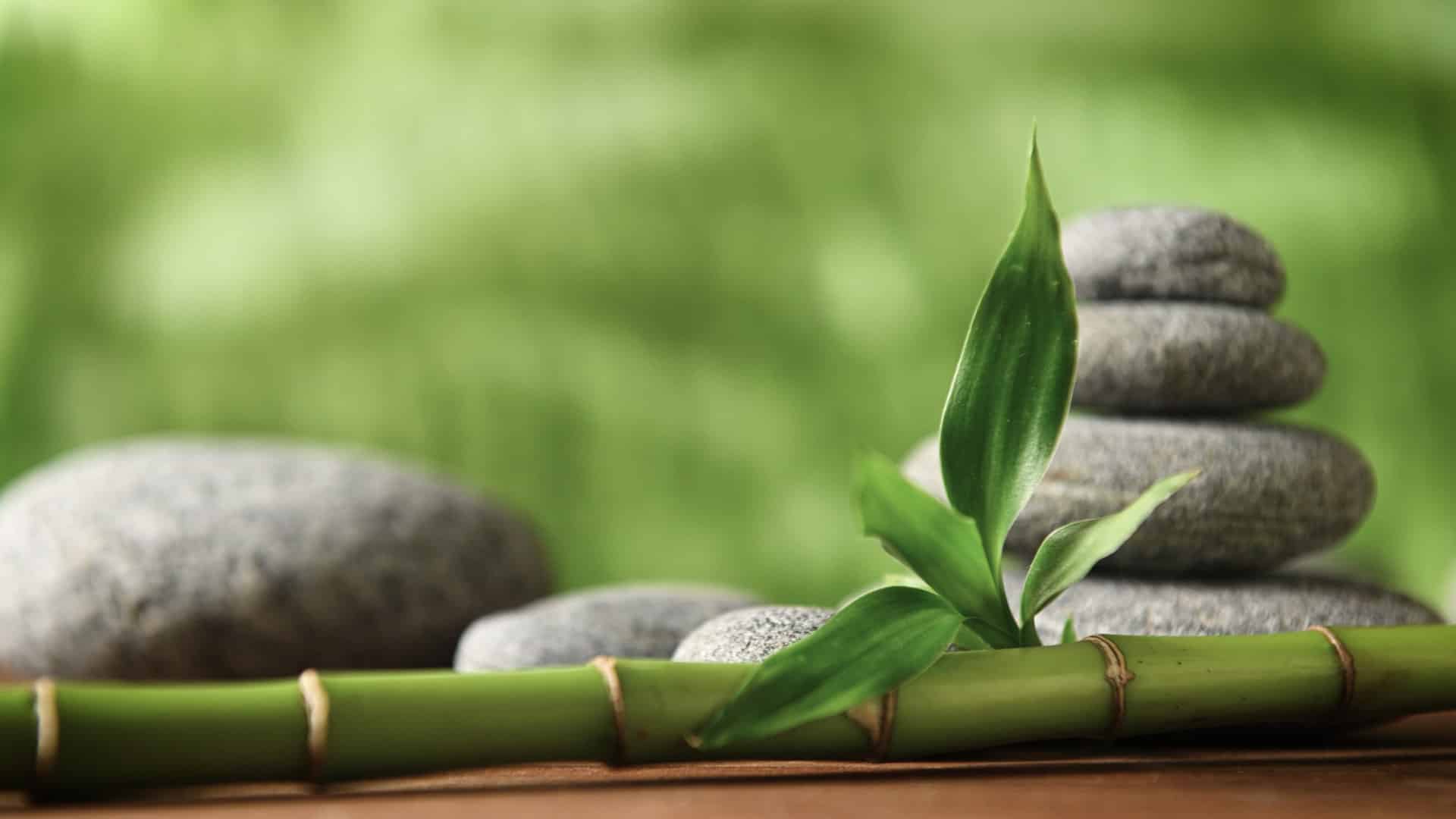 healthyouth_website_stage_2